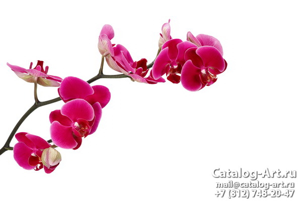 картинки для фотопечати на потолках, идеи, фото, образцы - Потолки с фотопечатью - Розовые орхидеи 60